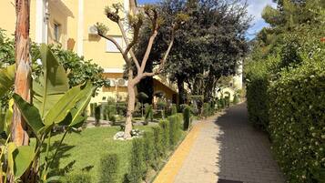 Área da propriedade