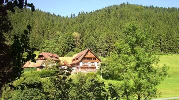 A chalet-style building with a sloped roof, surrounded by dense forest and a clear sky.