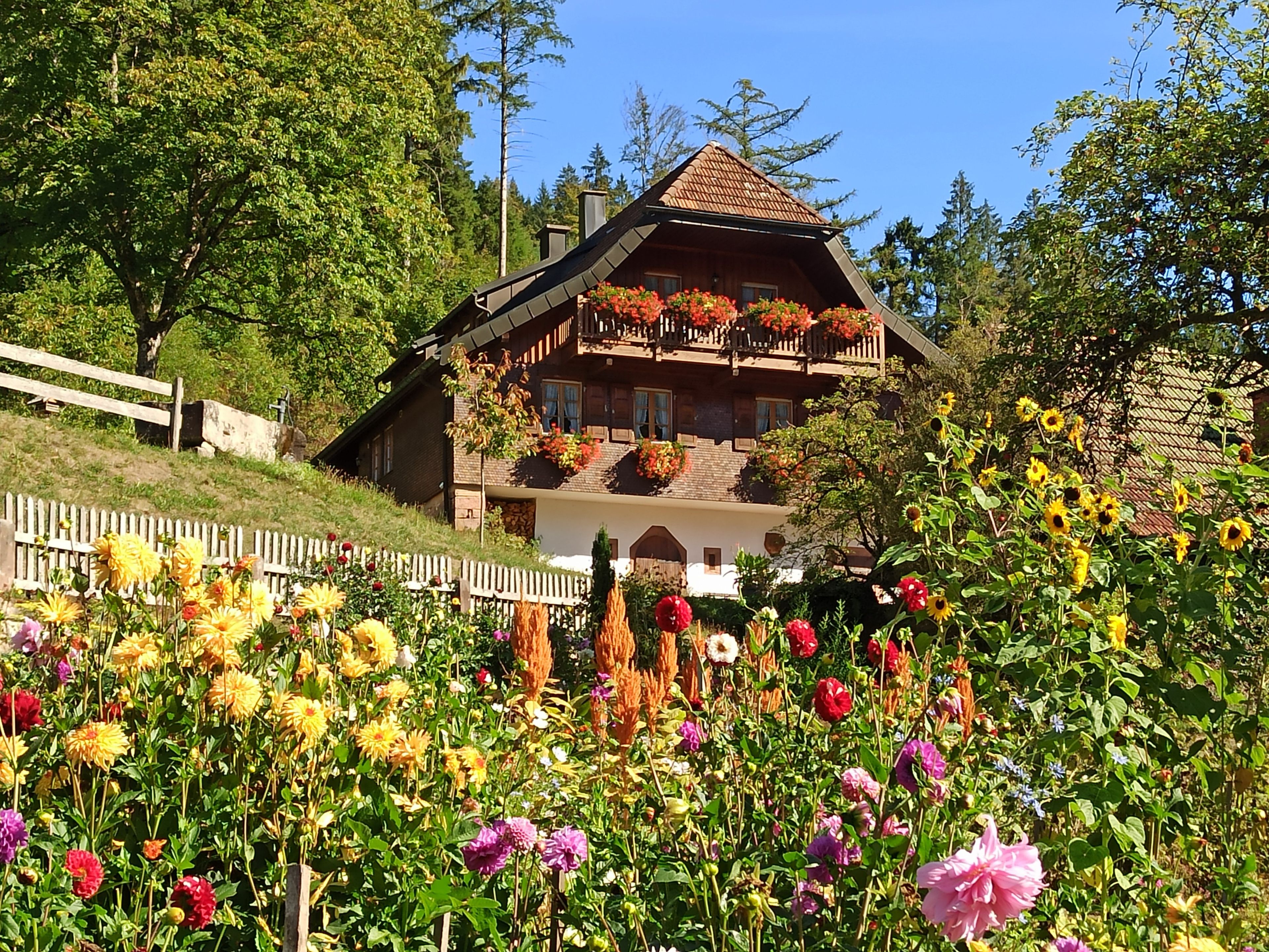 Eine Chalet mit geneigtem Dach, hölzernen Balkonen und einem Garten mit verschiedenen Blumen.