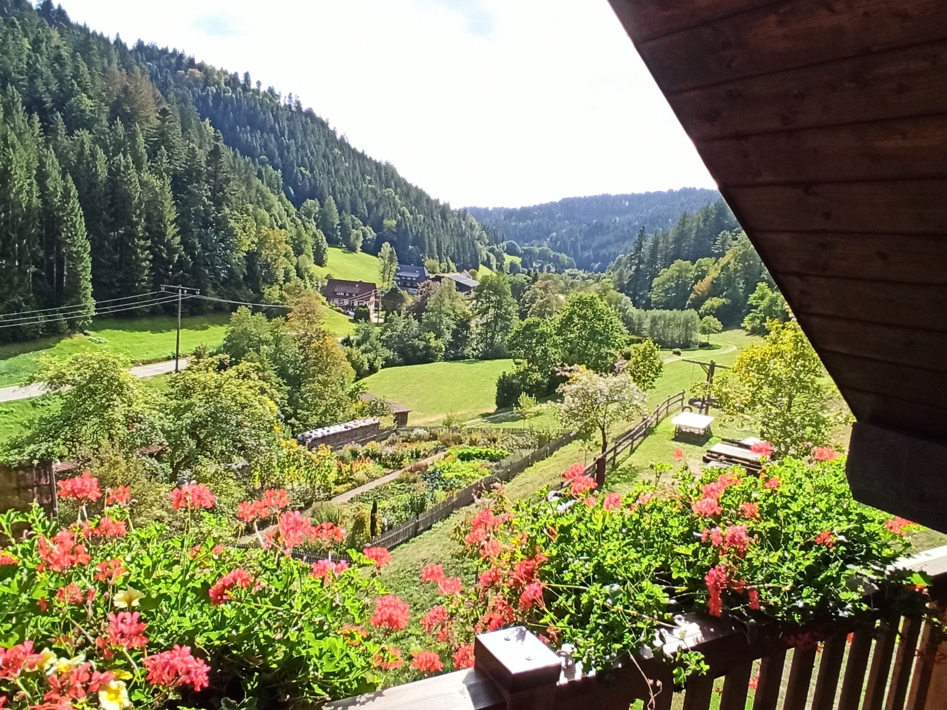 Un balcone con vista su una valle verde, case e un pendio boscoso.