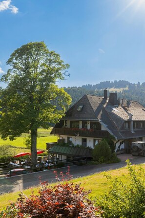 Exterior - Room 'Doppelzimmer 3' with Mountain View, Balcony and Wi-Fi (Bernau im Schwarzwald)