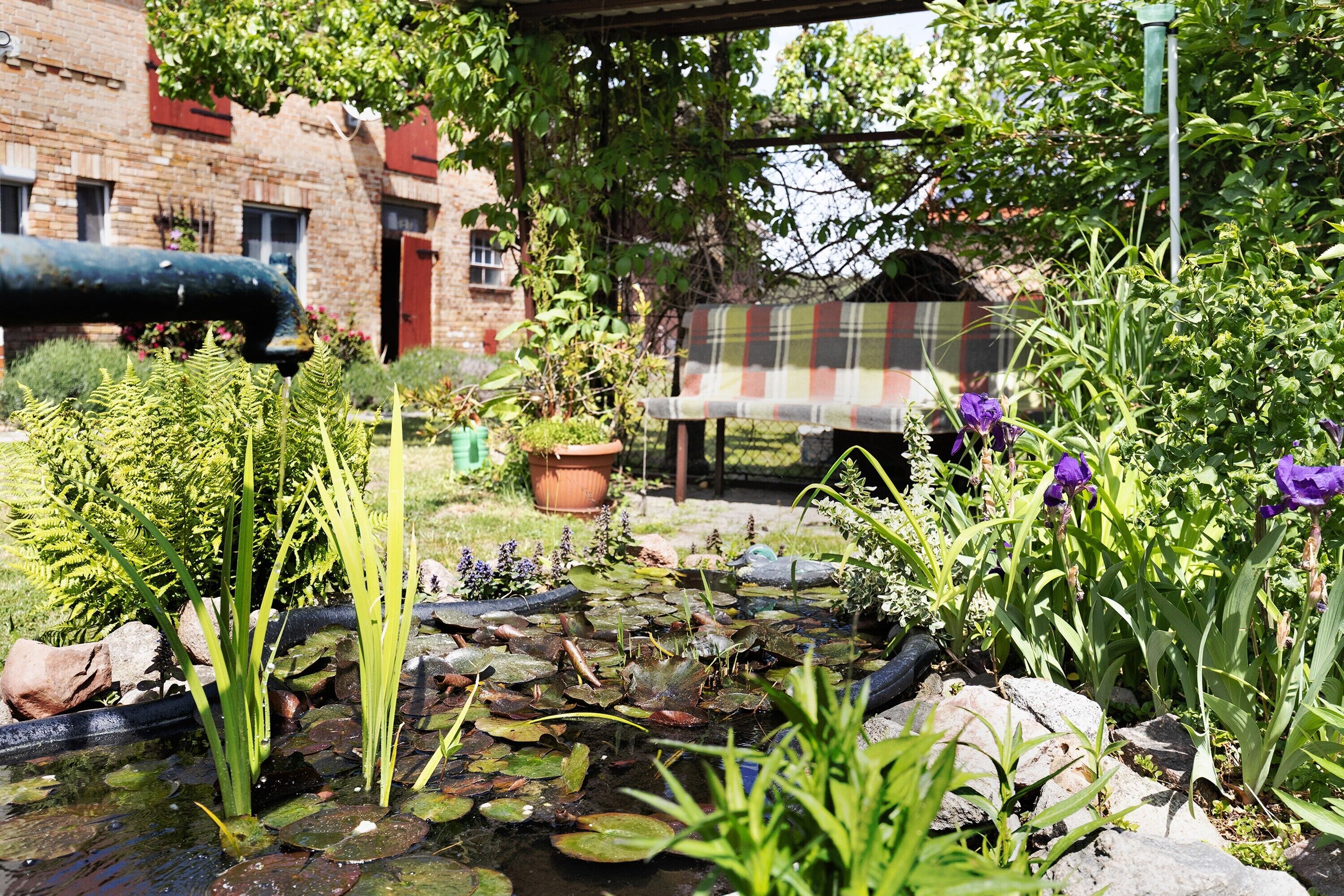 Área da propriedade