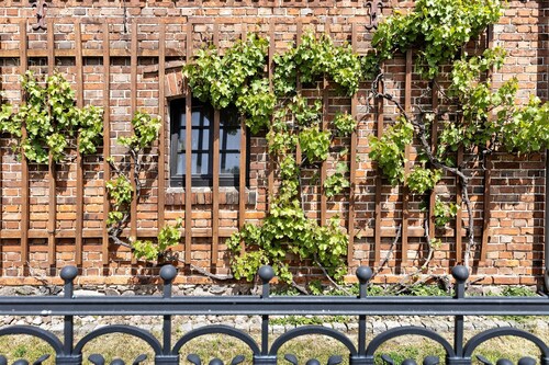 Abschalten vom Alltag, Ruhe und Natur genießen