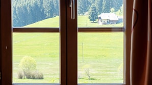 Blick aus dem Fenster auf eine ländliche Landschaft mit einem Haus, Bäumen und weitläufigen Feldern.