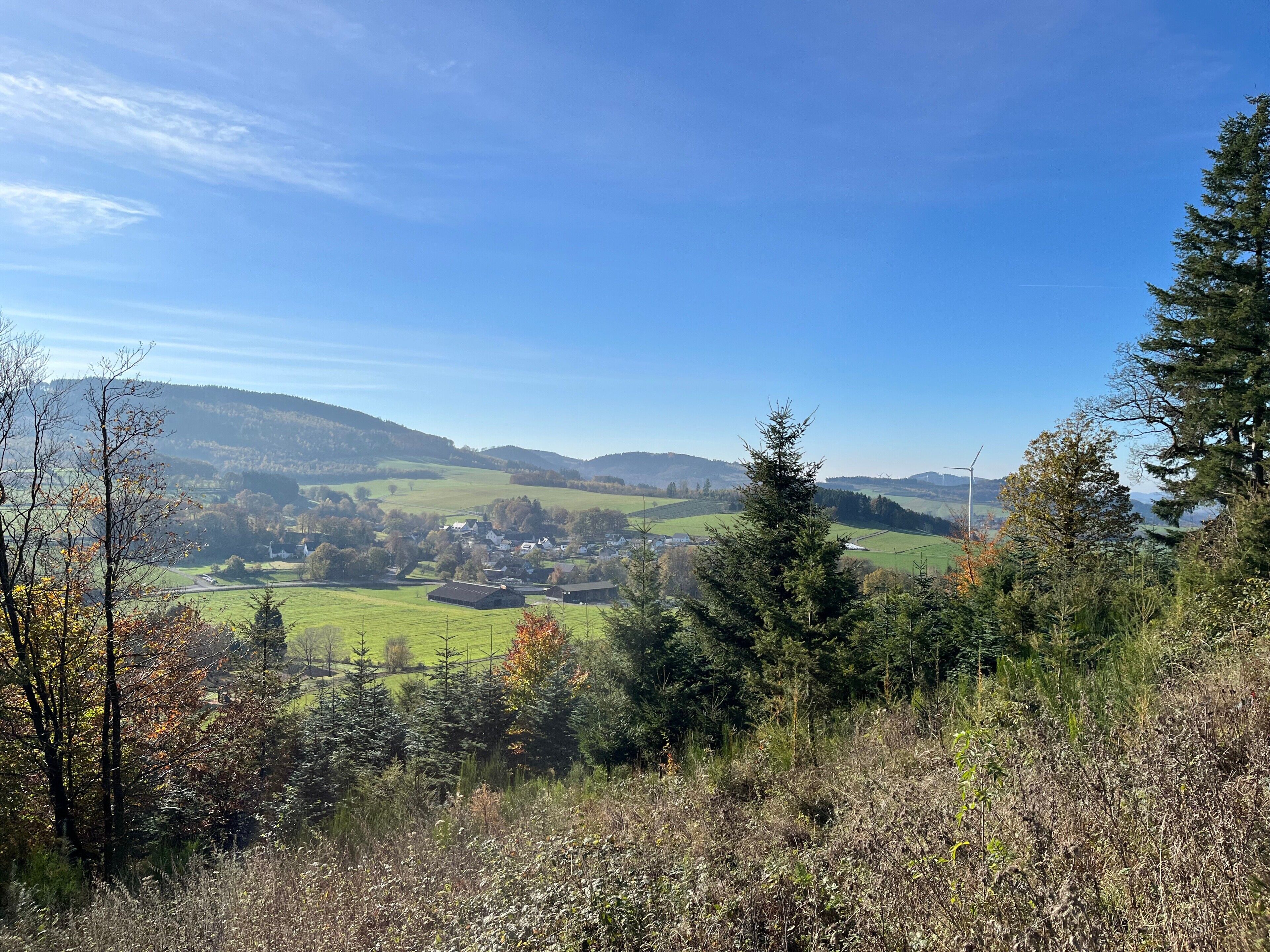 Paisatge rural amb turons suaus, un petit poble i una densa àrea forestal.