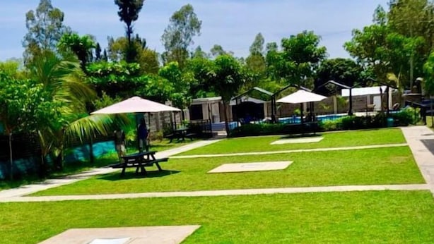 Un espacio exterior bien cuidado con césped, mesas de picnic y sombrillas que ofrecen sombra.