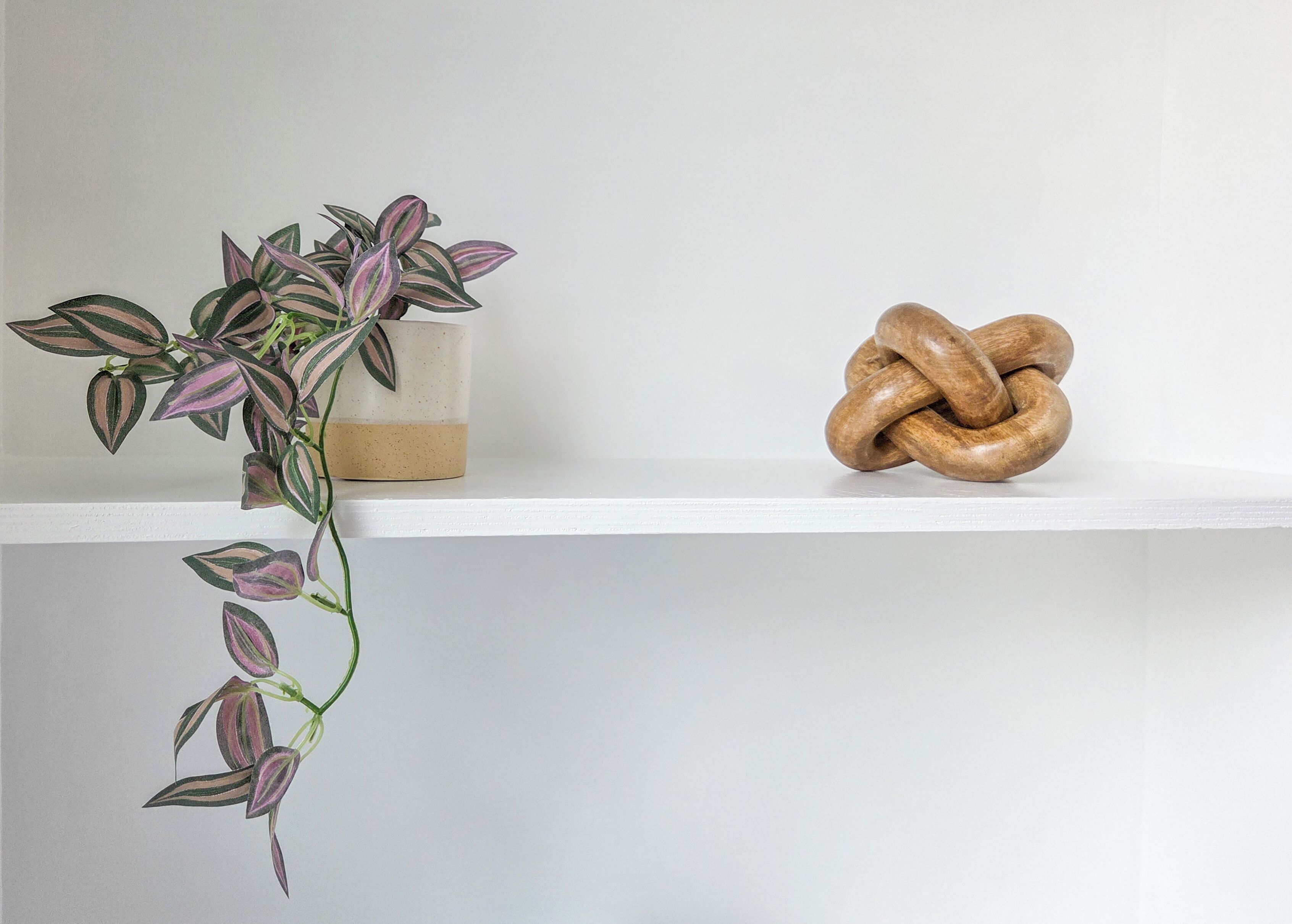 Une plante aux feuilles panachées, dans un pot en céramique, posée sur une étagère blanche.