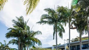 Una piscina rodeada de palmeras y un edificio con balcones.