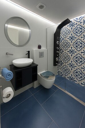 Regadera, secadora de cabello, toallas, jabón 