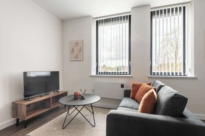 Fernseher, Arbeitsbereiche