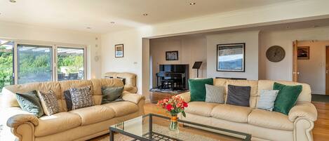 Smart TV, fireplace