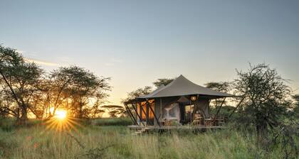 Manya Luxury Camp