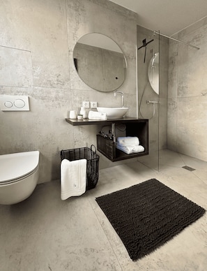 Shower, hair dryer, bidet, towels
