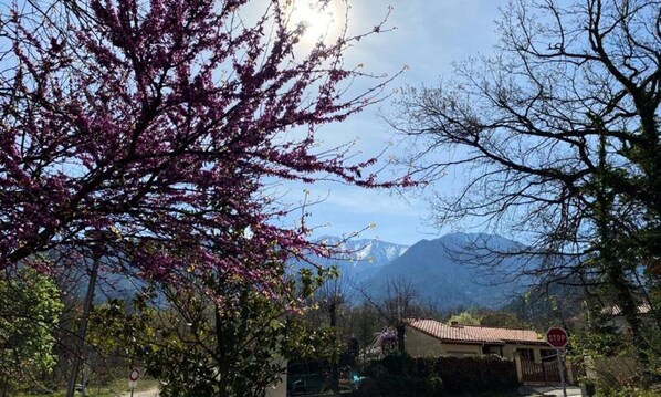 Miscellaneous - 2 Rooms for 4 People (Vernet-les-Bains)