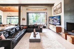 Smart TV, fireplace, books, stereo