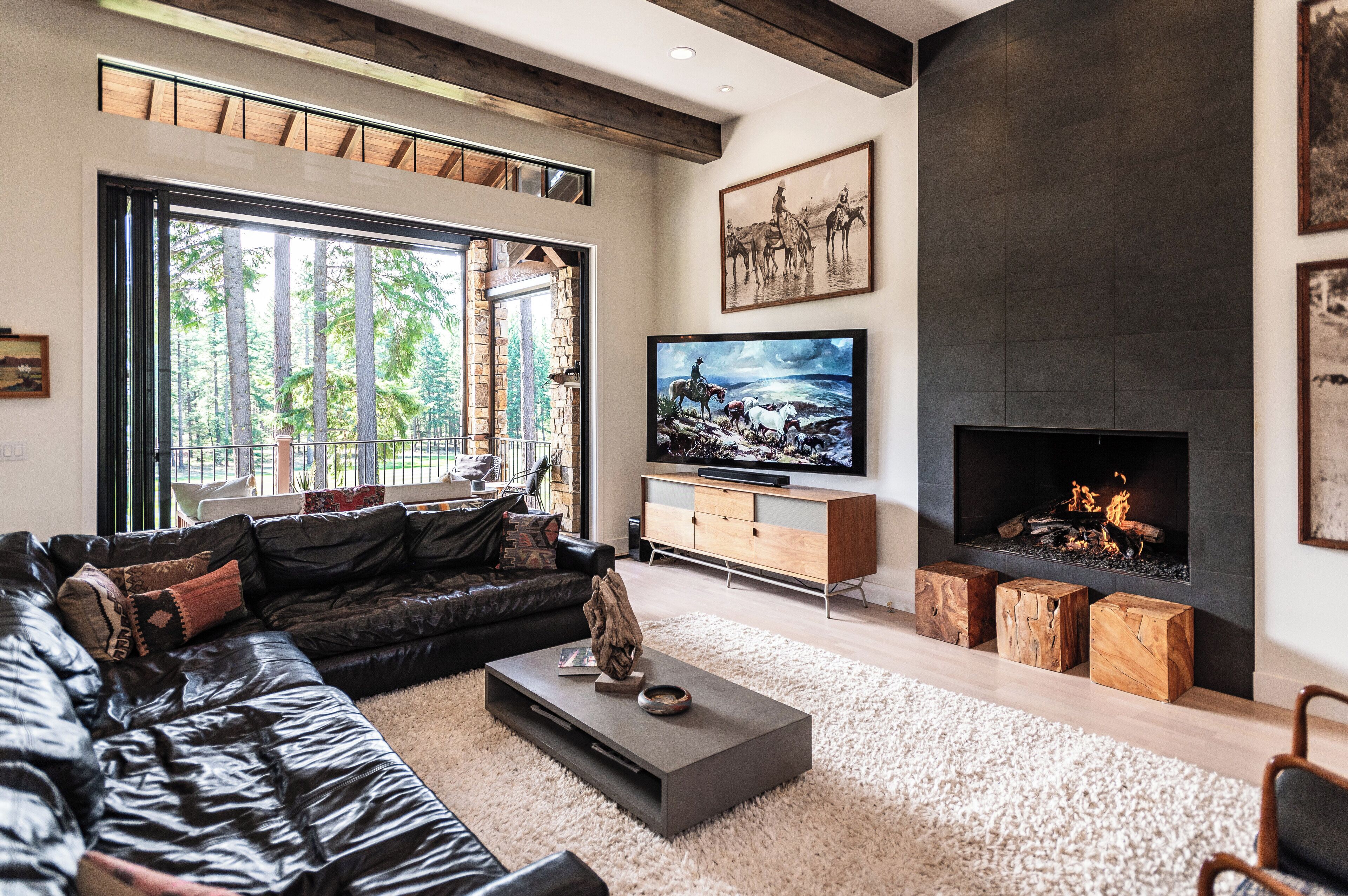 Smart TV, fireplace, books, stereo