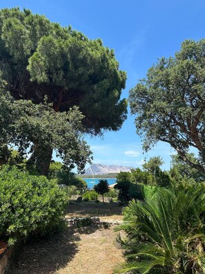 A garden with trees and a clear view of the sea. - Villa with direct access to the ocean, exclusive 2,000 m² grounds, 3 bedrooms, 2 bathrooms. (Lu Impostu)