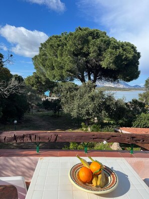 Outdoor dining - Villa, direct access to the sea, with exclusive 2000sqm park, 3 bedrooms, 2 bathrooms. (Lu Impostu)