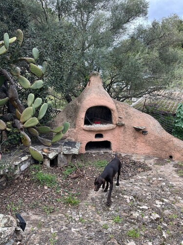 Villa, direct access to the sea, with exclusive 2000sqm park, 3 bedrooms, 2 bathrooms.