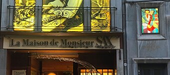 House in historic city center, near nature, beautiful view, sun terrace & garage