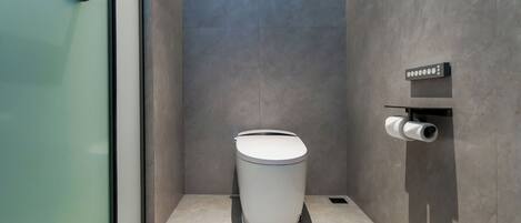 Une salle de bain moderne équipée de toilettes, d’un porte-rouleau de papier toilette et d’un espace douche.