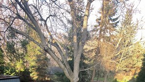 Ein Balkon mit Metallgeländer, einem Holztisch und Stühlen sowie Blick auf Bäume und einen Garten.