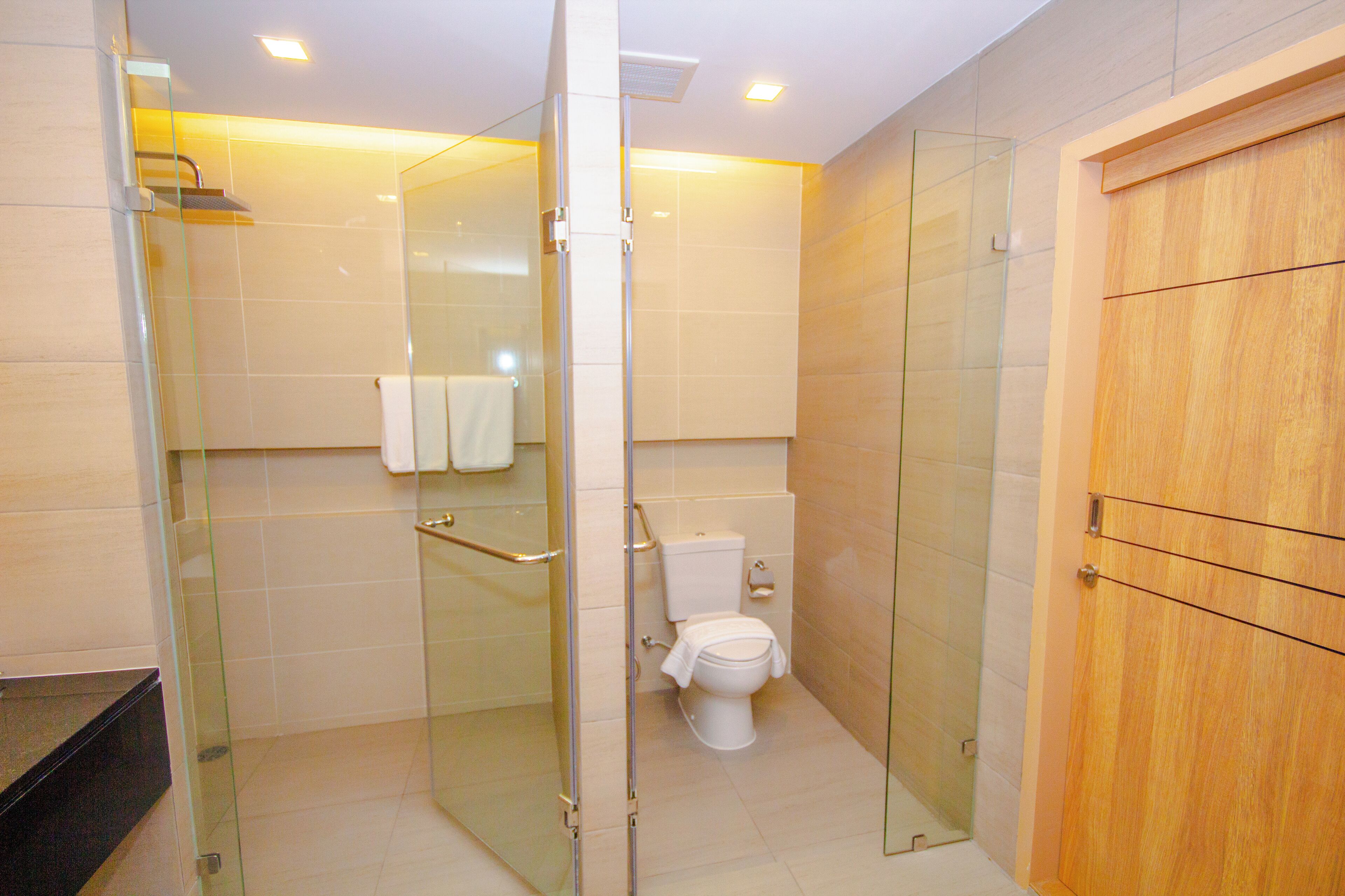 A modern bathroom with a glass shower enclosure, a toilet, and a wooden cabinet.