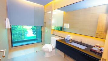 Deluxe Double Room, Balcony, City View | View from room