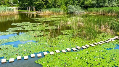 Villa Teketo Family Guest House