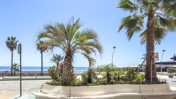 A curved seating area with palm trees and flowers, a paved walkway, and a view of the sea. - Central Apartment with Balcony in Estepona (Estepona)