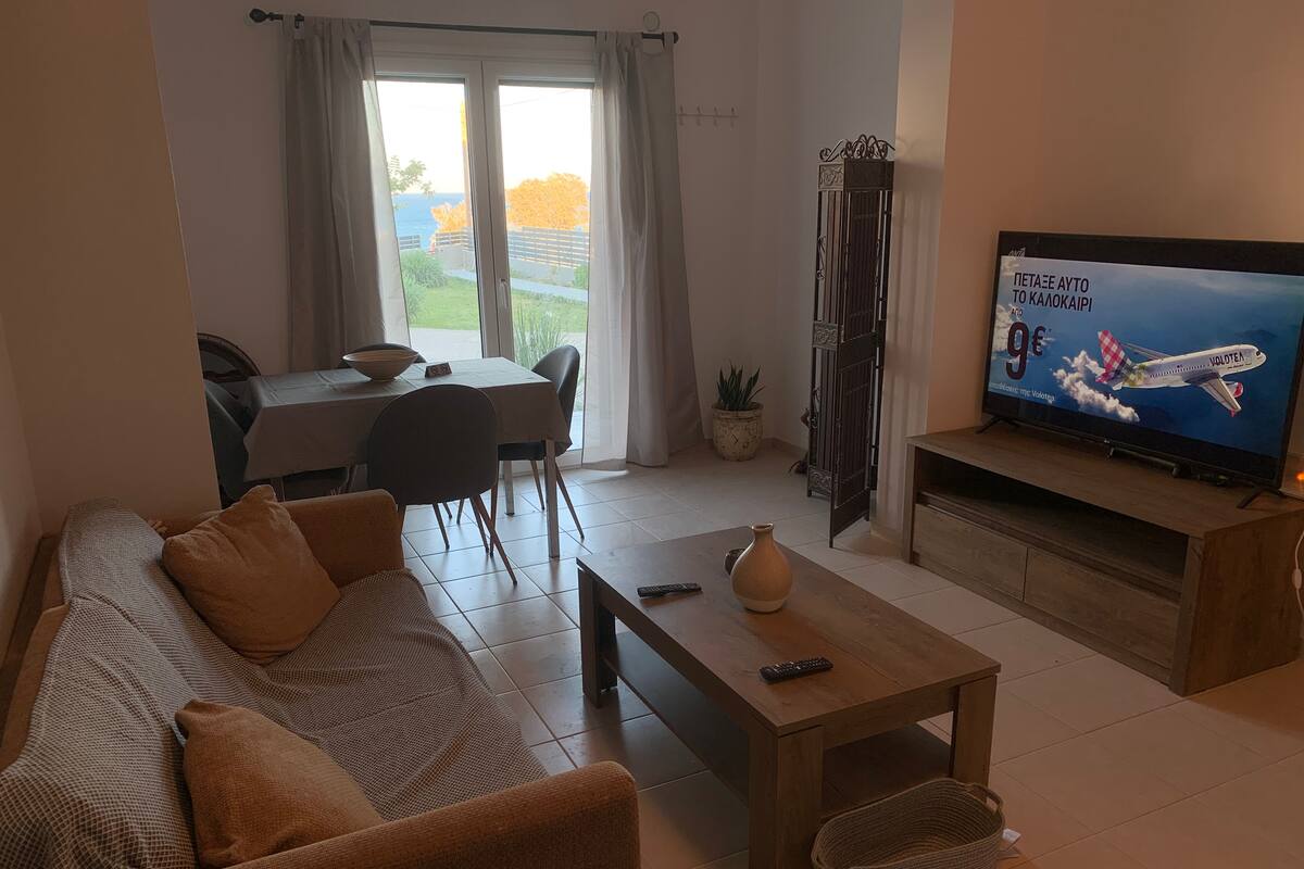 A living room with a sofa, a coffee table, a TV, and a dining area with a table and chairs.