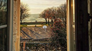 A view through a window with a metal gate, a basketball hoop, and trees with red flowers.