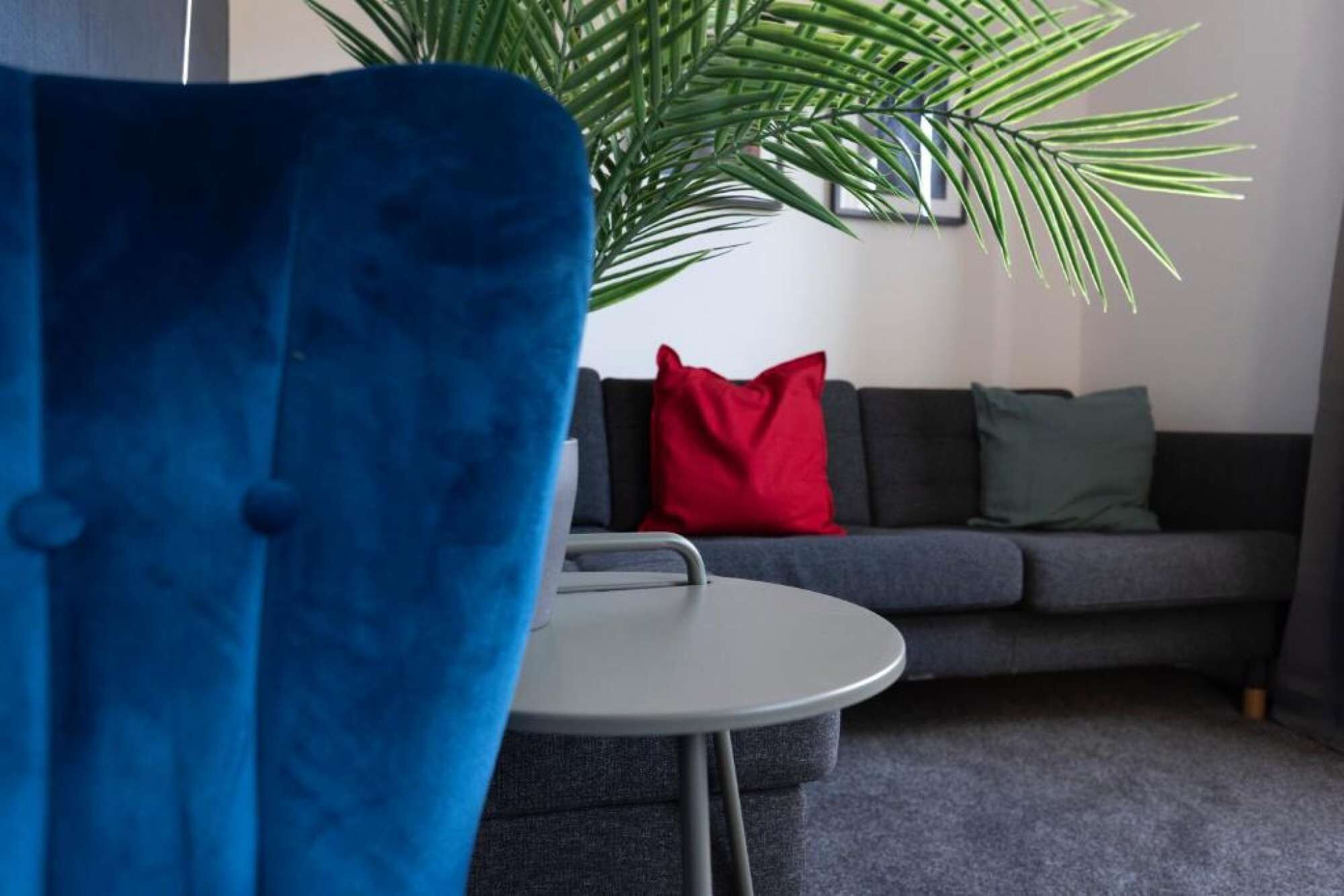 A living room with a blue chair, a grey sofa with red and green cushions, and a large green plant.