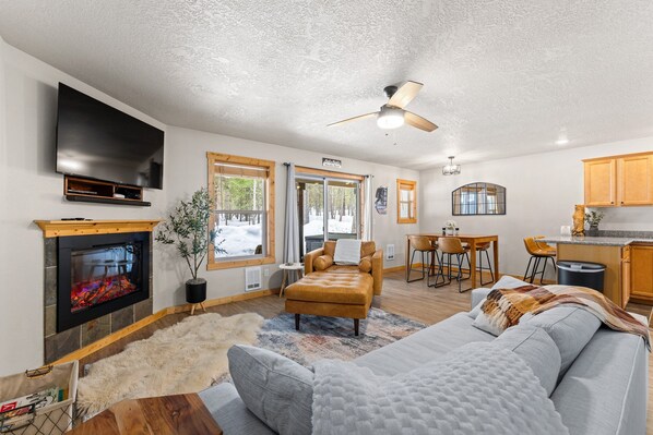 Smart TV, fireplace, DVD player, books