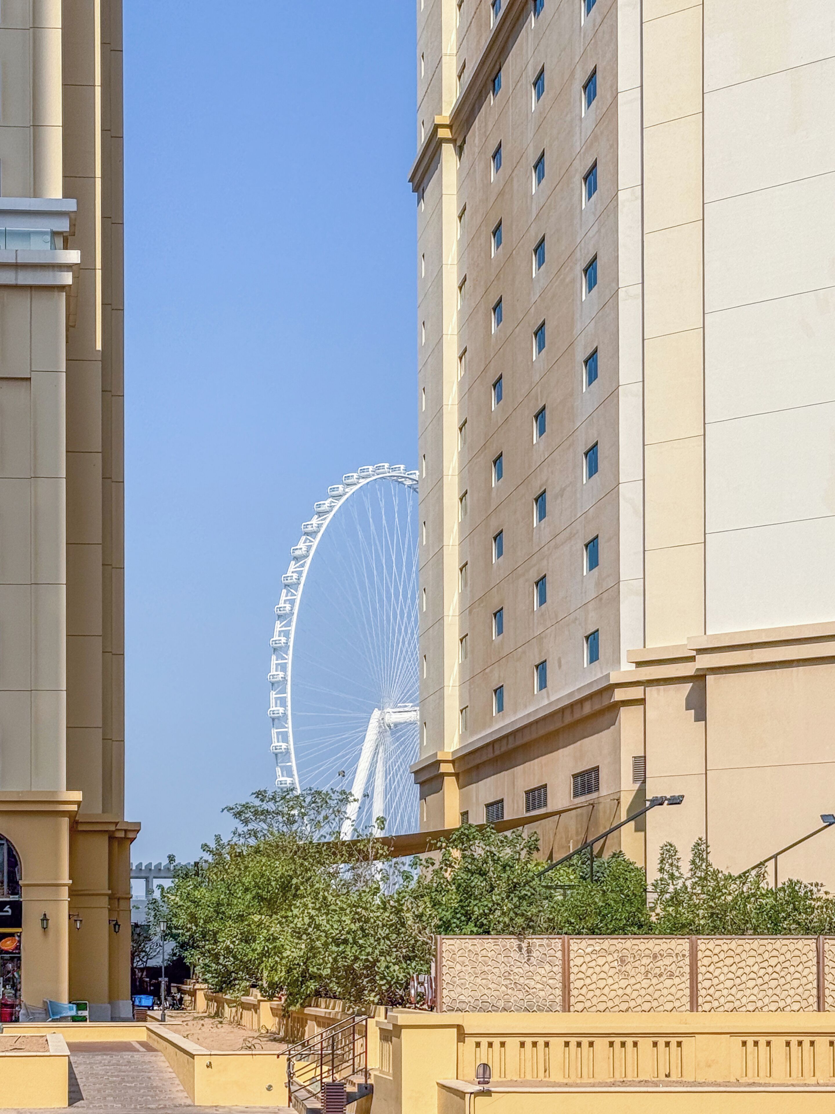 A modern building with a large Ferris wheel in the background.