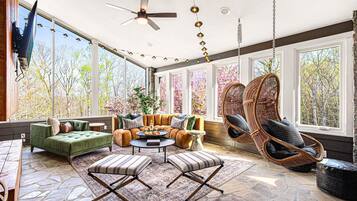 Télévision, cheminée, jeux vidéo, livres