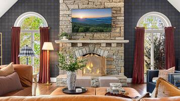 TV, fireplace, video games, books