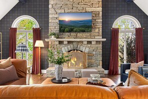 TV, fireplace, video games, books