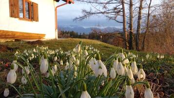 House | Exterior detail