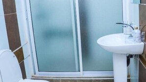 Bany amb vàter, un lavabo i una dutxa amb portes de vidre acidificat.