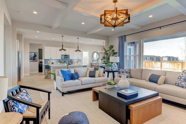 Télévision, cheminée, espaces bureaux