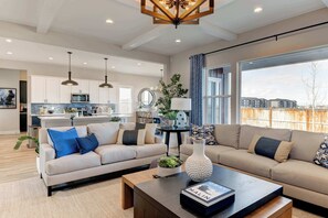 TV, fireplace, offices