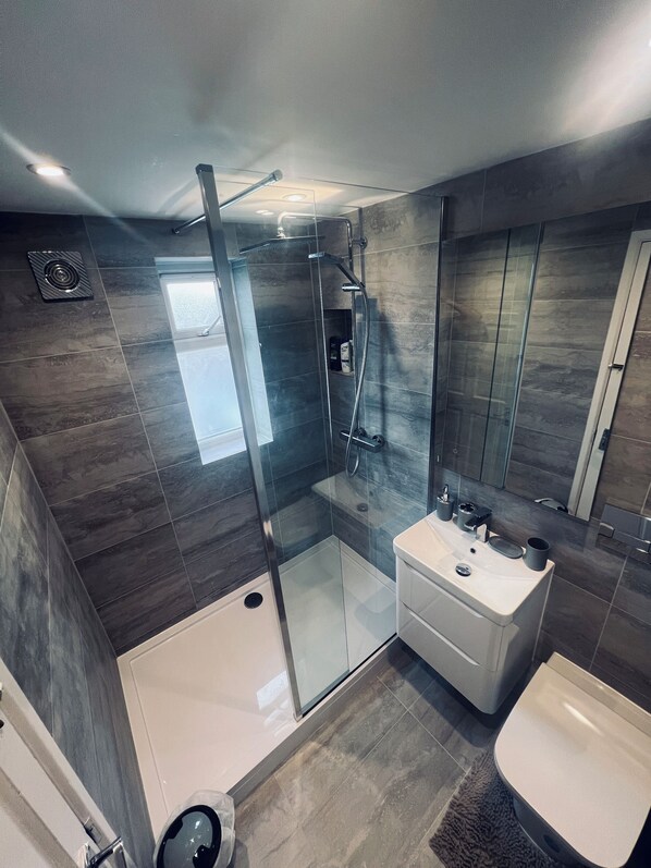 Hair dryer, towels, soap, toilet paper