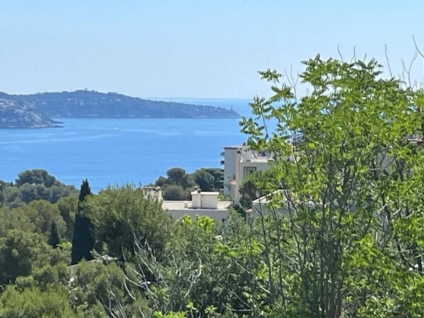 Une vue sur la côte, avec des bâtiments, des arbres et un ciel dégagé.