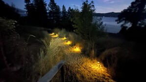 Een verlicht pad in de avond, omringd door hoog gras en bomen, dat naar een waterpartij leidt.