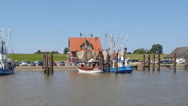 Een haven met verschillende boten afgemeerd, een gebouw met een rood dak en een grasveld op de achtergrond.