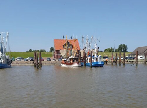 Ferienhaus Butjenter Haus am Deich