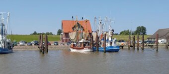 Vacation home Butjenter Haus am Deich