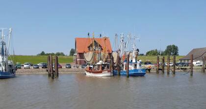 Ferienhaus Butjenter Haus am Deich