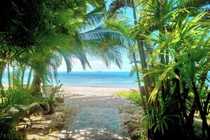 A beach path leading to the ocean, surrounded by palm trees.